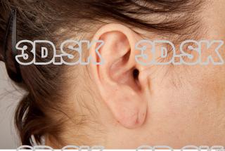 Ear texture of Ada 0001